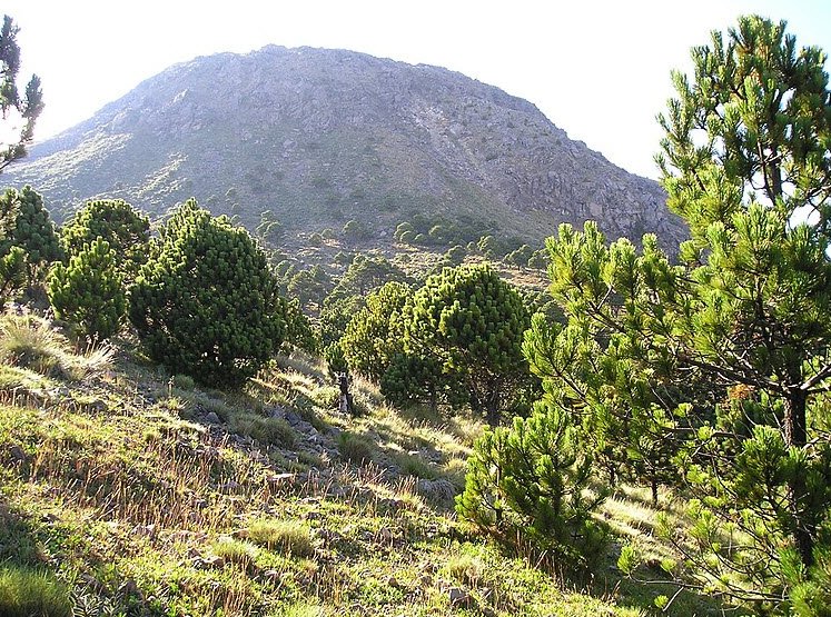 Volcán Tajumulco, San Marcos Department, Guatemala